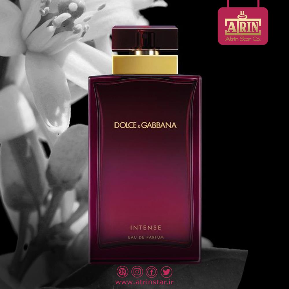 Dolce & Gabbana Pour Femme Intenseدلچی اند گابانا پغ فم اینتنس